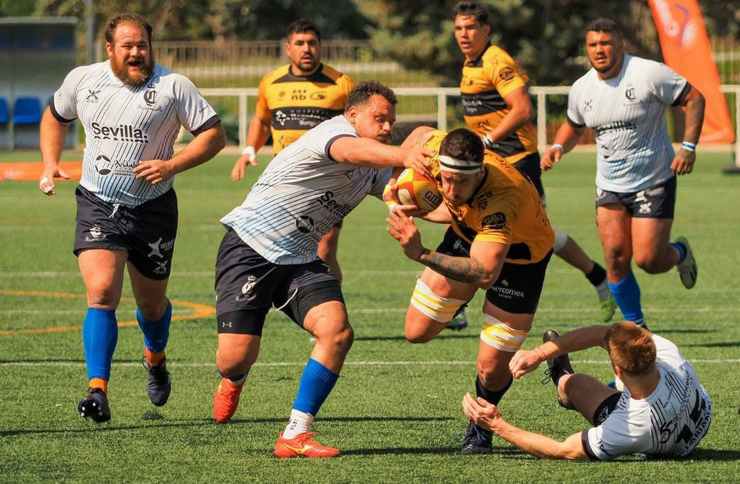 La grande rivolta nel mondo del rugby