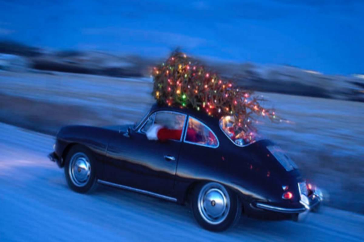 Trasportare l'albero di natale in auto: consigli per evitare multe