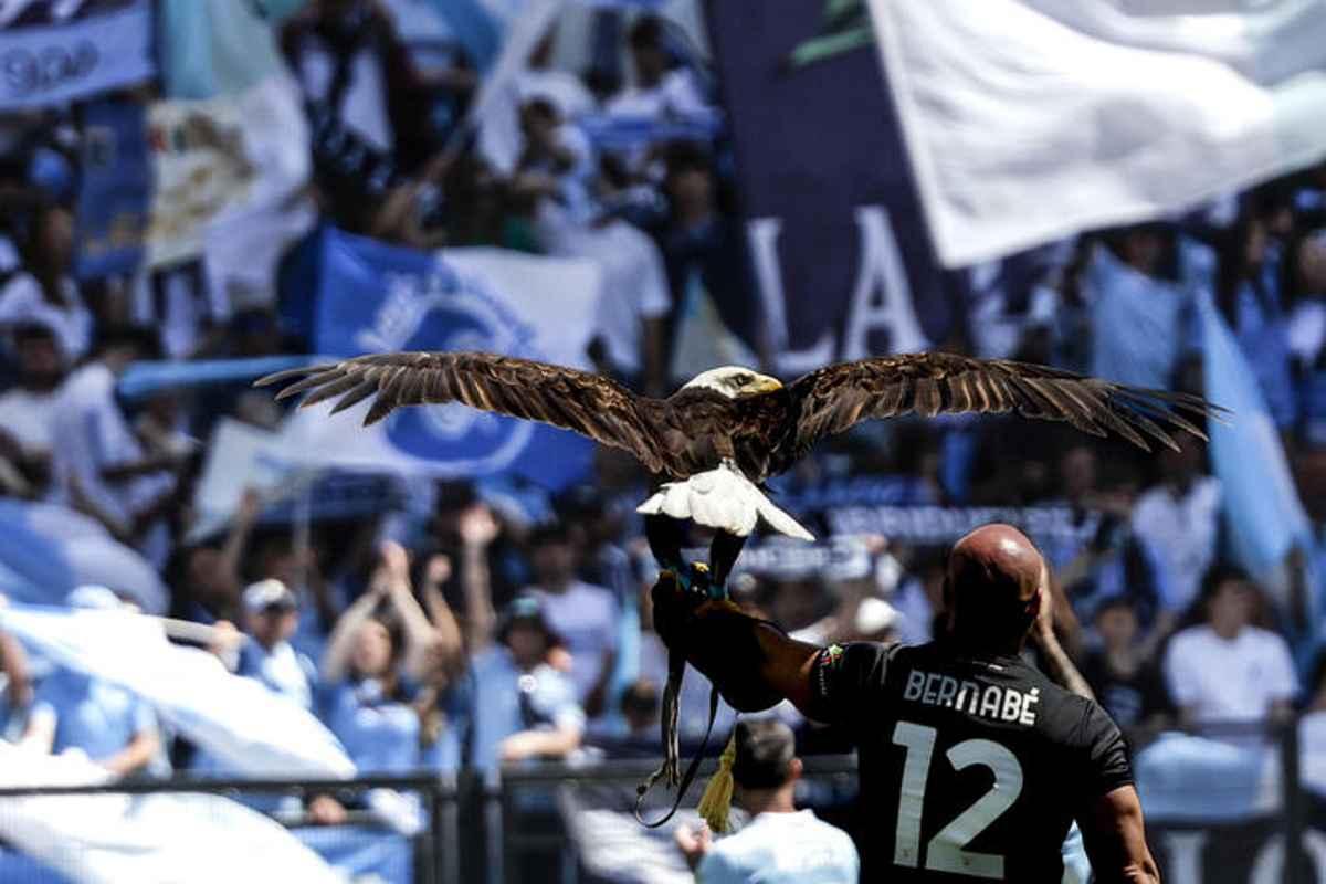 Falconiere del Lazio si pente e chiede scusa: 'Pronto a rimediare'